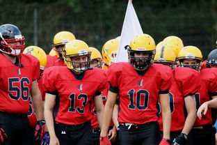 乐鱼（中国）体育官方网站-中超球员年度射门类型结构分类，足球门将射门