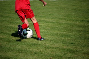 乐鱼体育登录-中超球员年度技术评分标准体系，中超球员技术统计