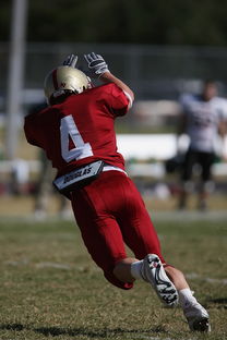 leyu乐鱼体育综合-中超球队传球链路密集度评分系统