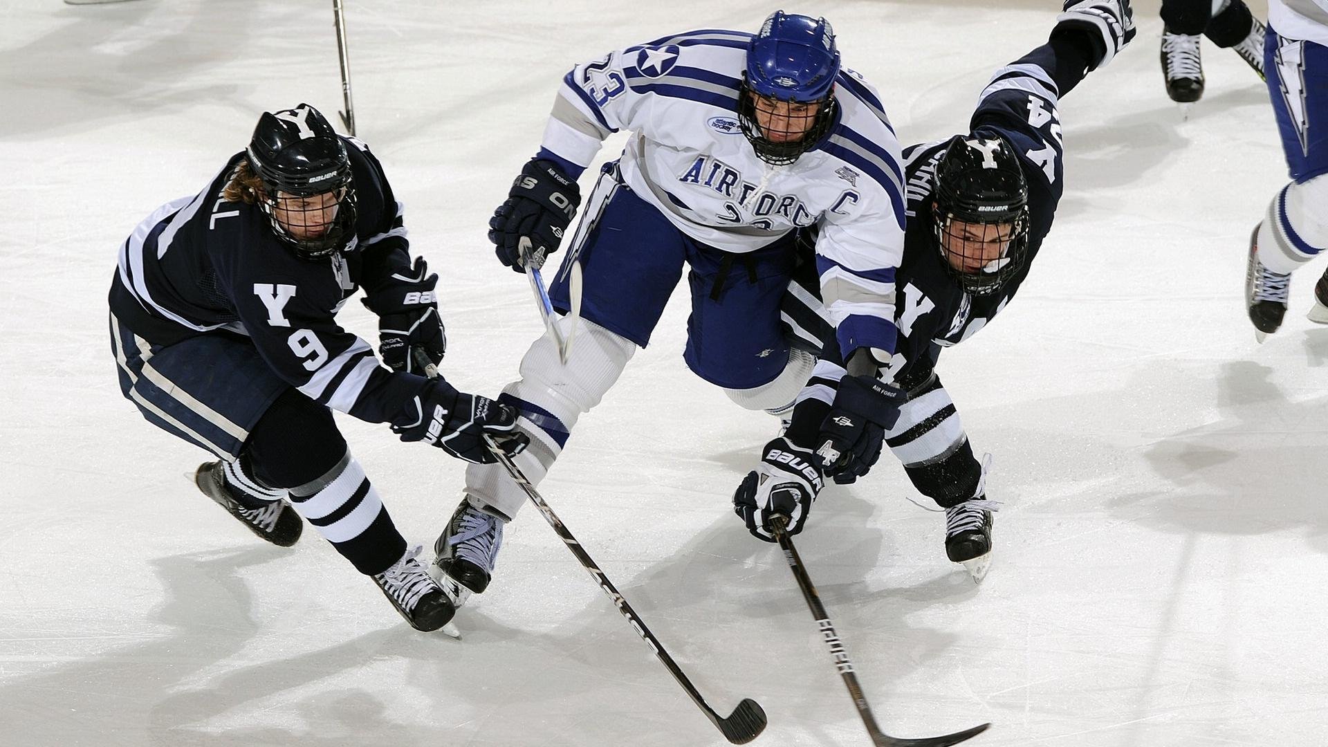 LeyuSports-体育新闻中心推动智慧体育场馆数字内容升级，体育场馆数字化