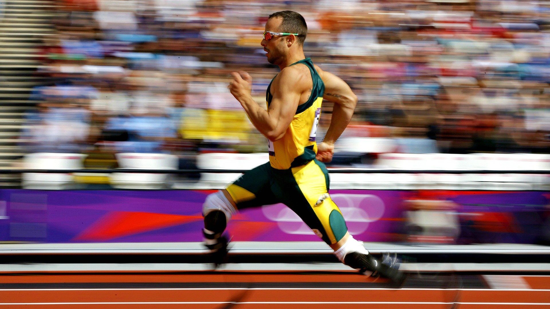 世界杯高光时刻：精彩片段一网打尽！，世界杯精彩瞬间