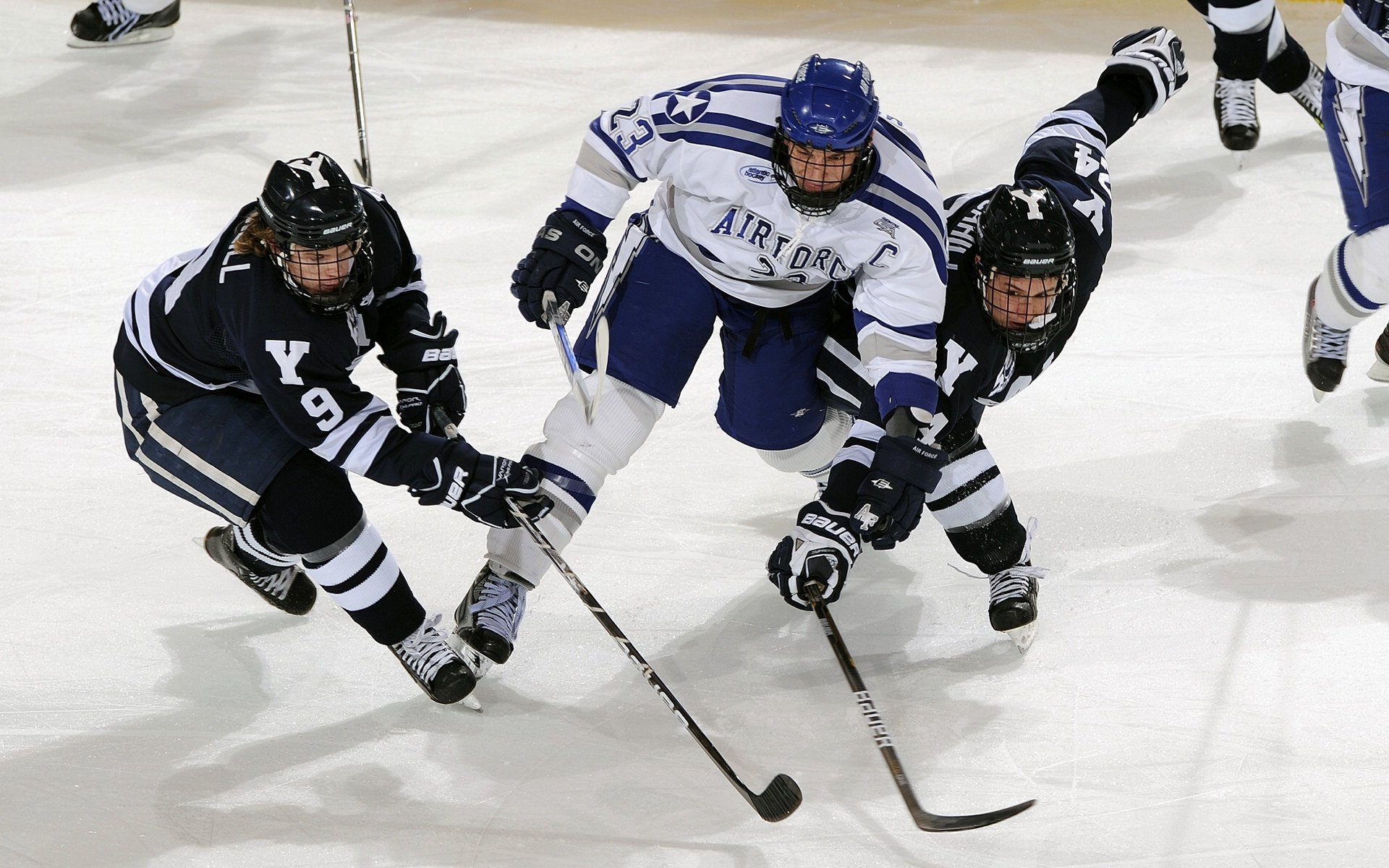体育心理学应用实例，体育心理学应用实例分析